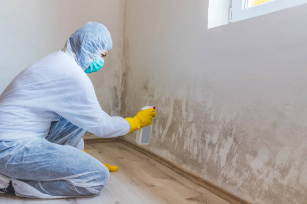 Licensed Mold Testing service in Lexington, TX - WQB Mold Removal