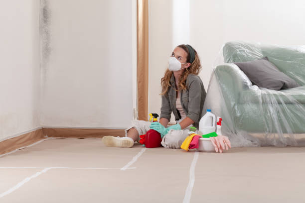 Reliable Mold Testing contractor in Lexington, TX by WQB Mold Removal
